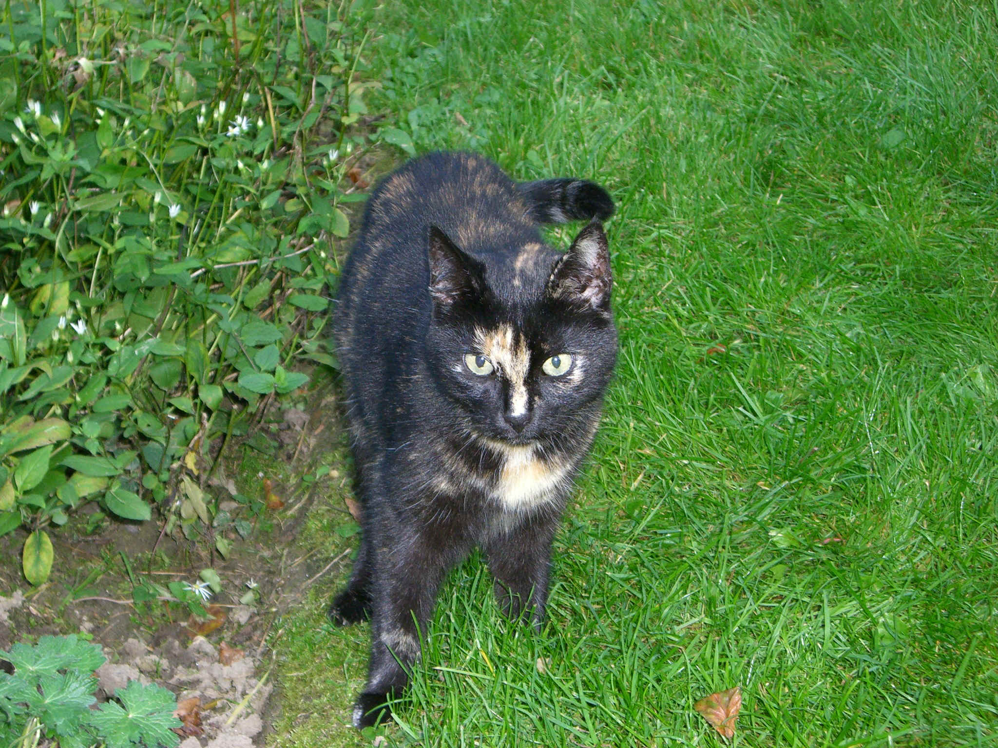 CIMG1065.JPG (1259586 Byte)