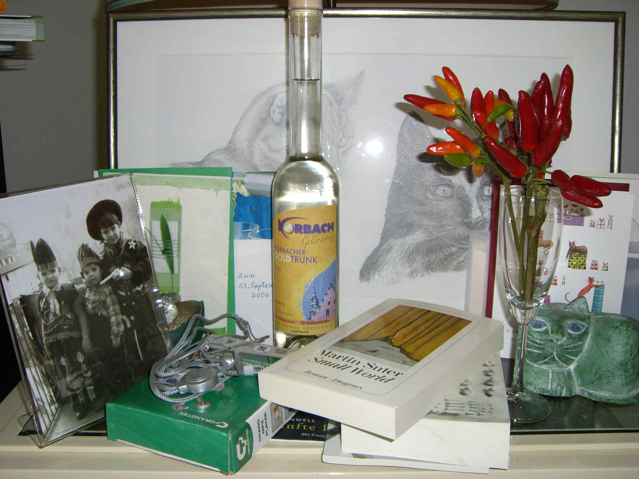 CIMG1099.JPG (1247567 Byte)